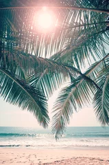 Abwaschbare Fototapete Grün blau Sonne scheint durch Palmblätter, Retro-Farbtonbild.