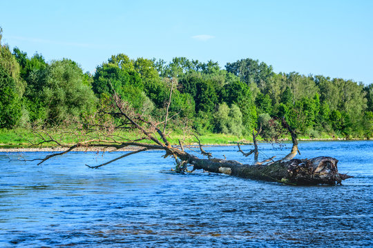 Idyllische Natur an der M&uuml;ndung von Wertach und Stadtbach in den Lech in der Wolfzahnau in Augsburg