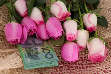 Obraz na płótnie Canvas natural pink roses and hundred dollar notes 