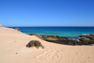 Fototapeta na wymiar Sand dunes. Parque Natural de Corralejo at Fuerteventura, Canary Islands, Spain