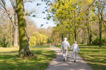 gemeinsamer Lebensabend Seniorenpaar beim Parkspaziergang