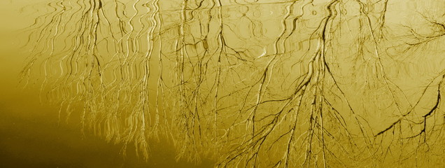 Hintergrund abstrakt in beige - Spiegelung der Bäume im Wasser