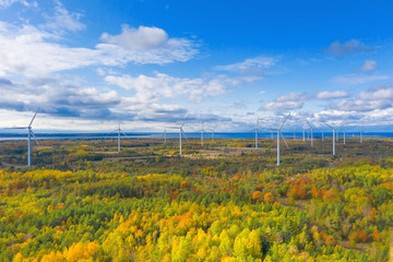 The Windmills park of Paldiski. Wind turbine farm near Baltic sea. Autumn landscape with windmills, orange forest and blue sky. Pakri peninsula, Estonia, Europe