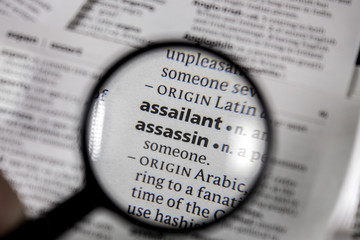 The word or phrase assailant in a dictionary.