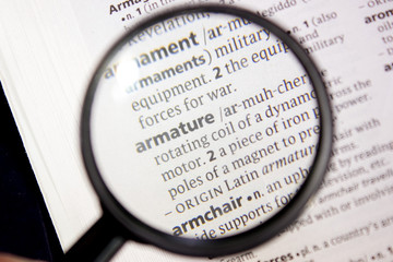 Armature word or phrase in a dictionary.