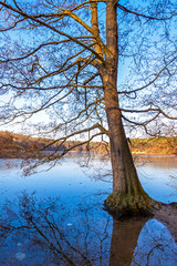 Winter view of Schlachtensee lake in Berlin, Germany. Schlachtensee is a lake in the south west of Berlin, in Steglitz-Zehlendorf borough, on the edge of Grunewald forest. Part of Berlin since 1920