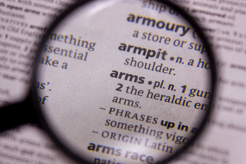 Arms word or phrase in a dictionary.