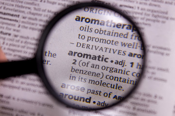 Aromatic word or phrase in a dictionary.