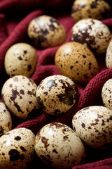 Quail eggs view