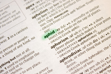 Aphid word or phrase in a dictionary.