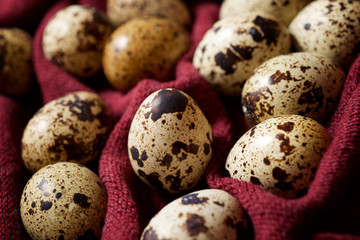 Quail eggs view