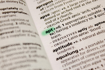 Apt word or phrase in a dictionary.