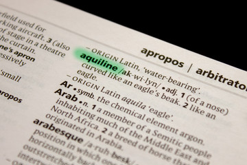 Fototapeta premium Aquiline word or phrase in a dictionary.