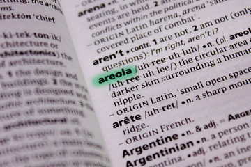 Fototapeta premium Areola word or phrase in a dictionary.