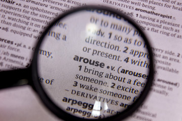Arouse word or phrase in a dictionary.