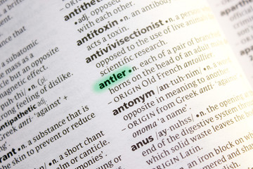 Antler word or phrase in a dictionary.