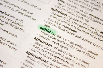 Aphid word or phrase in a dictionary.