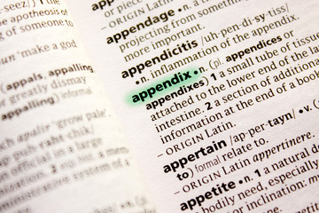 Appendix word or phrase in a dictionary.