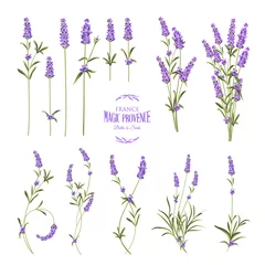 Fototapete Lavendel Set von Lavendelblütenelementen. Sammlung von Lavendelblüten auf weißem Hintergrund. Vektorillustrationsbündel.