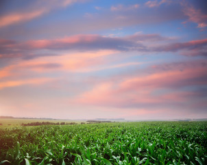 Rural scene with colored clouds.