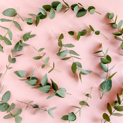 Textured background, pattern made of branches eucalyptus, leaves isolated on pink background. lay flat, top view