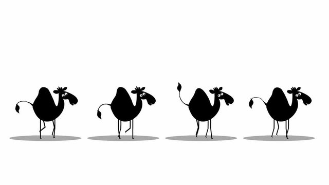 Funny camels walking (seamless loop animation) 