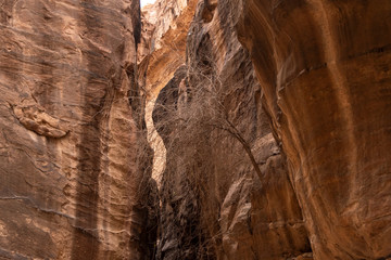 Siq, Estrecho barranco de rocas en Petra, Jordania