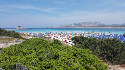 Fototapeta na wymiar La Pelosa Beach Strand auf Sardinien