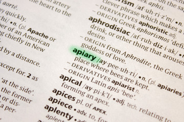 Apiary word or phrase in a dictionary.