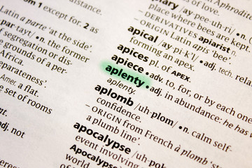 Aplenty word or phrase in a dictionary.