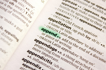 Append word or phrase in a dictionary.