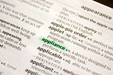 Appliance word or phrase in a dictionary.