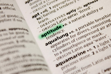 Aptitude word or phrase in a dictionary.