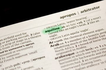 Aquiline word or phrase in a dictionary.