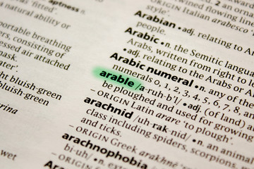 Arable word or phrase in a dictionary.