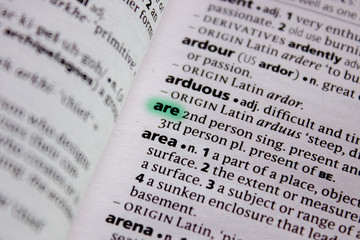 Are word or phrase in a dictionary.