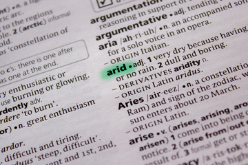 Arid word or phrase in a dictionary.