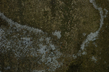 texture of old raw moldy stone cement wall ice crust frost ice for 3D texturing hunter color