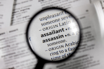 The word or phrase assailant in a dictionary.