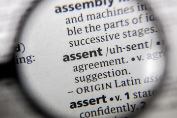 The word or phrase assent in a dictionary.