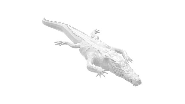 3D rendering of an alligator isolated on a white background