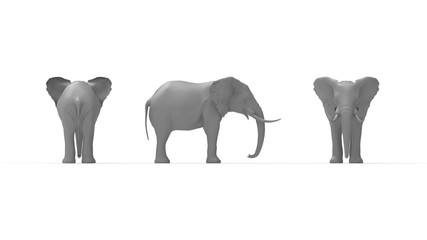 3D rendering of an elephant isolated in white empty space background