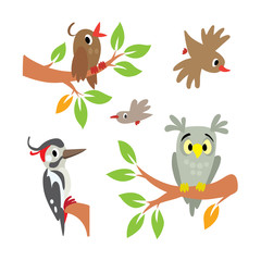 Birds. Illustration set, Owl, woodpecker and other