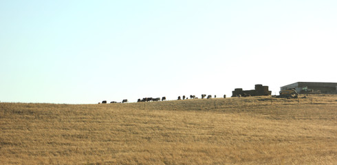 Obraz premium agricultura