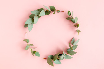 Wreath made of branches eucalyptus, leaves isolated on pink background.  Flat lay, top view. floral concept