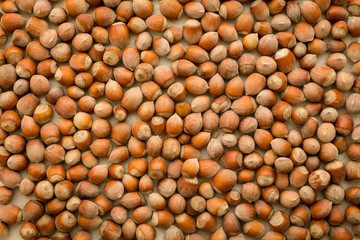 Whole hazelnuts lying on burlap