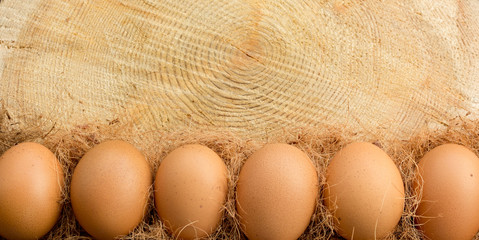 Easter, healthy food concept on a banner with copy space. Top view of brown beige eggs on cross section of tree trunk.