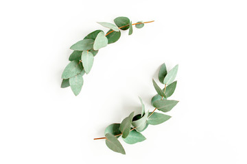 Wreath frame made of branches eucalyptus and leaves isolated on white background. lay flat, top view