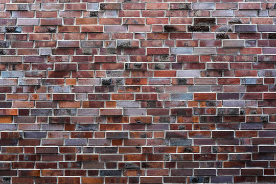 Fototapeta Kolorowe cegły na ścianie