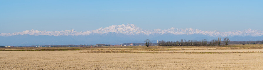 Italian Alps, Monte Rosa mountain range seen from the Piedmont plain with fields of dry rice stubble in the foreground. Winter panorama in sunny day.